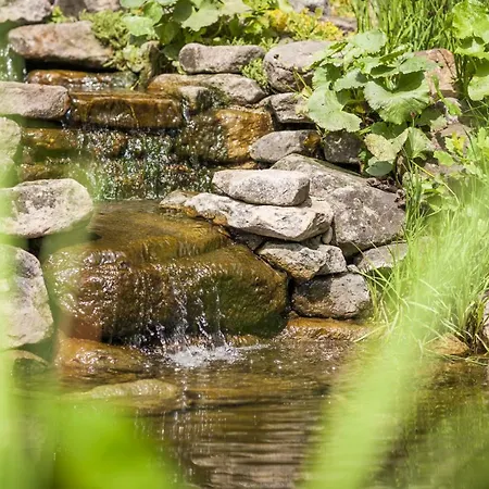 Gaestehaus Buenner Hof Lägenhet *