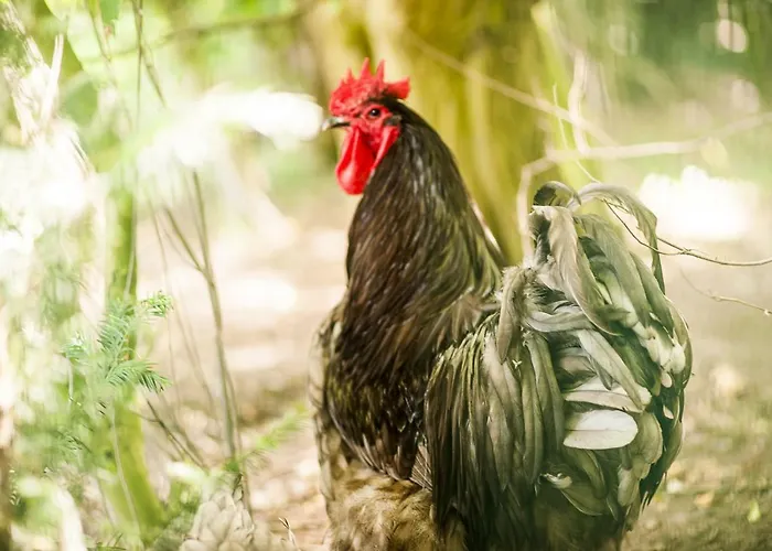 דירה Gaestehaus Buenner Hof