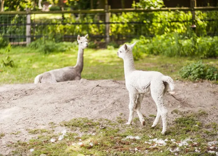 דירה Gaestehaus Buenner Hof